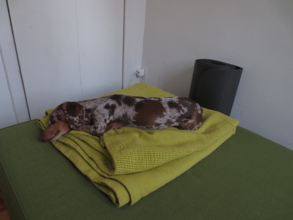 asleep