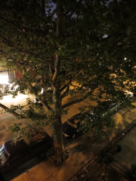 roof