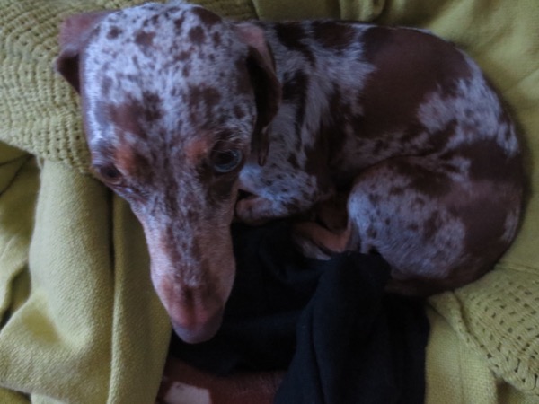 sleepy