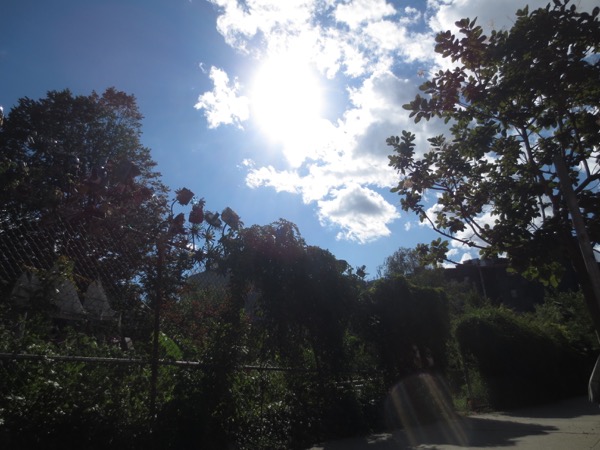 walking