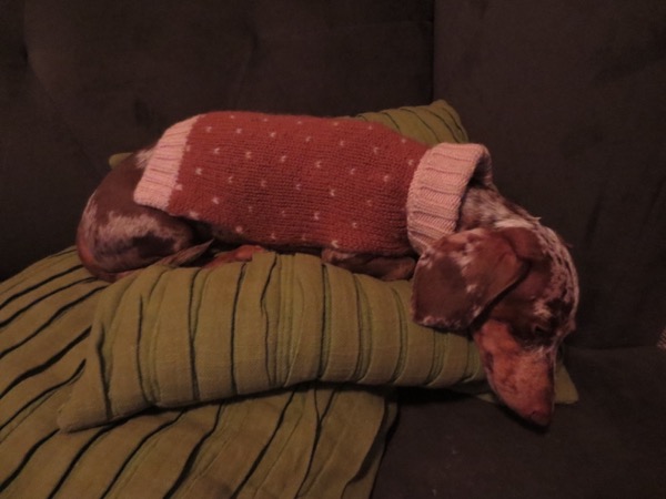 sleepy