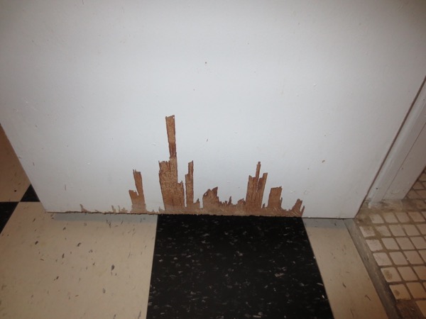 door