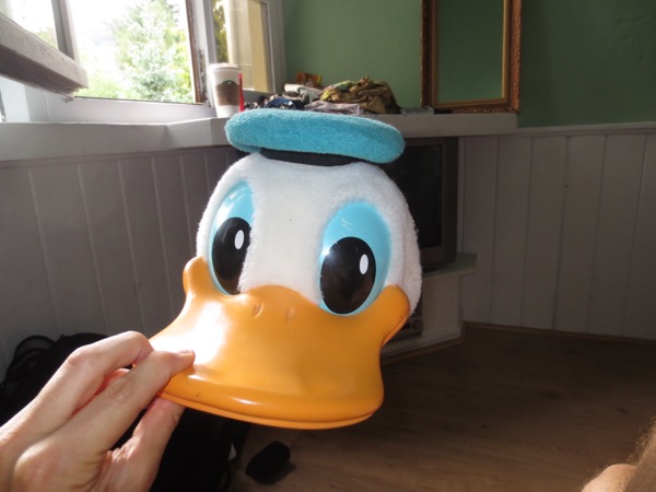 duck