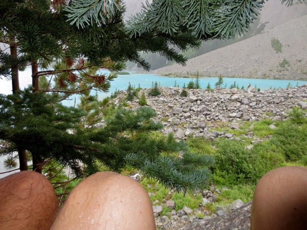 knee