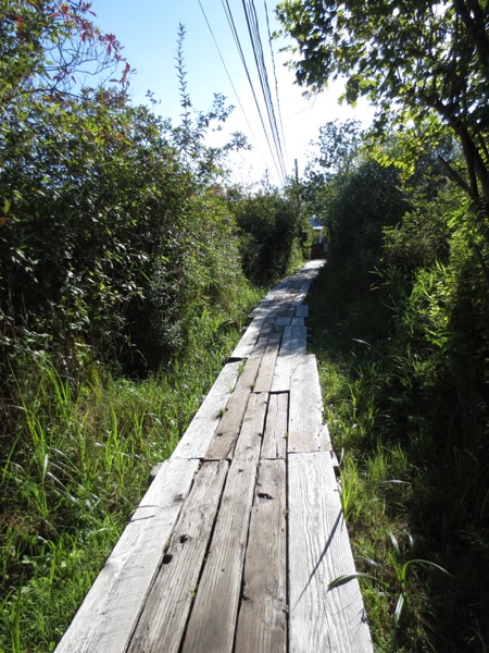 path