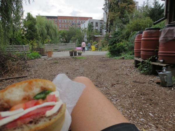sandwich
