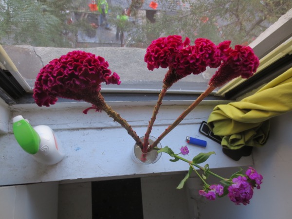 flower