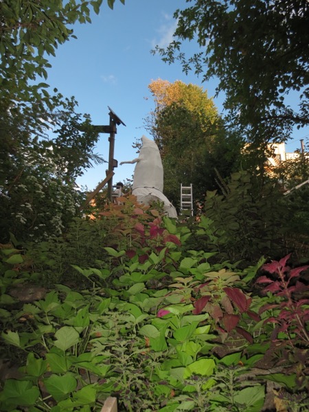 garden