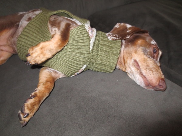 sleepy