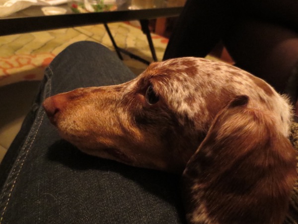 maddy