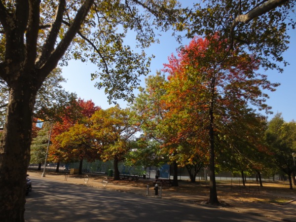 tompkins