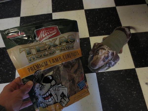 treats