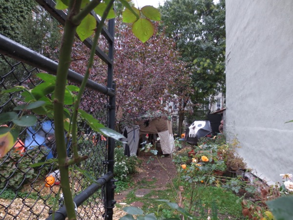garden