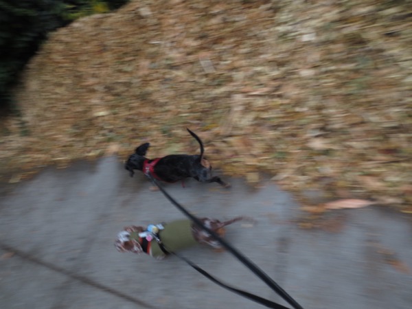 walking
