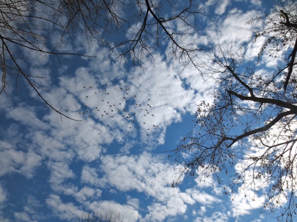 clouds