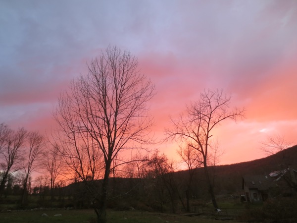 sunset