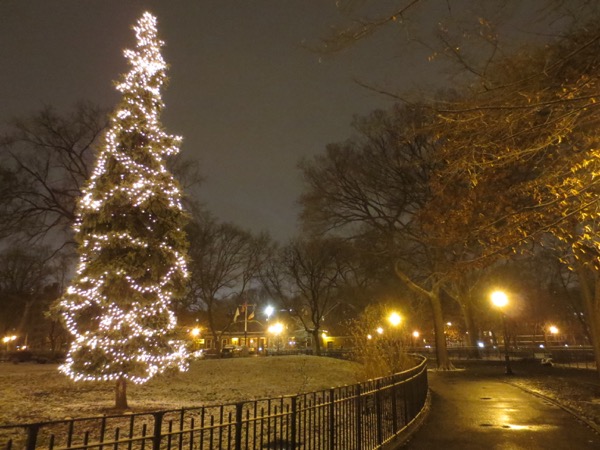 tree