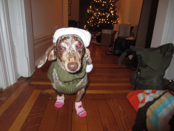 santa