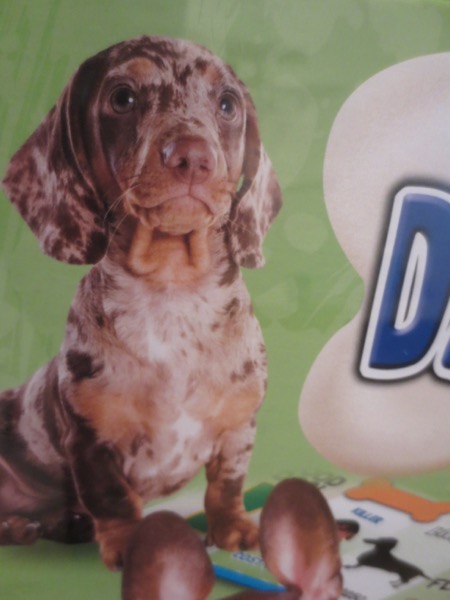 doppleganger