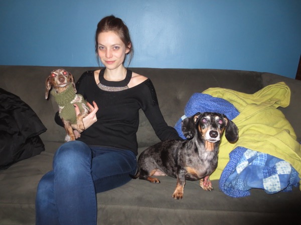 edie + dogs