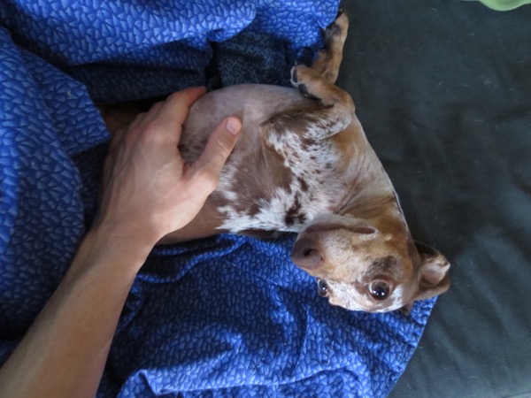 maddy
