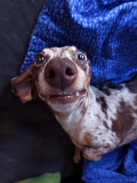 cute