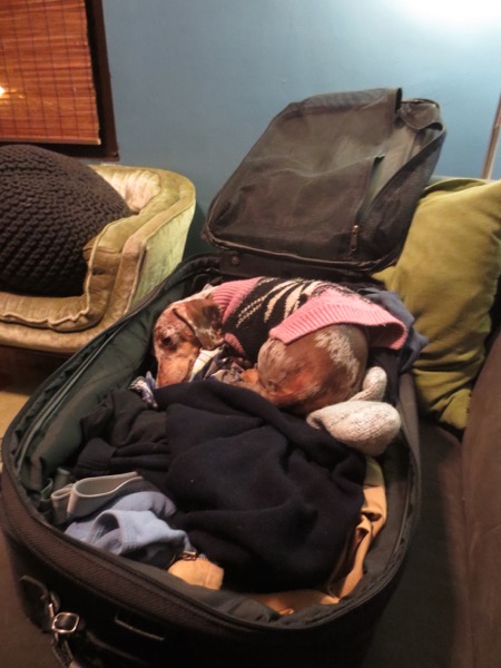 suitcase