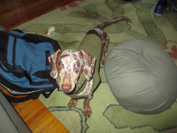 maddy