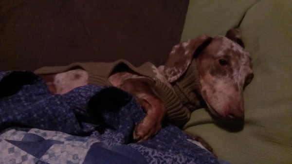 sleepy