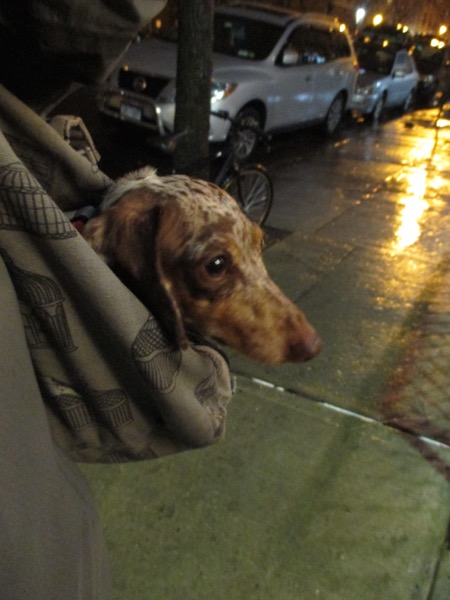 rain