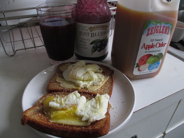 egg