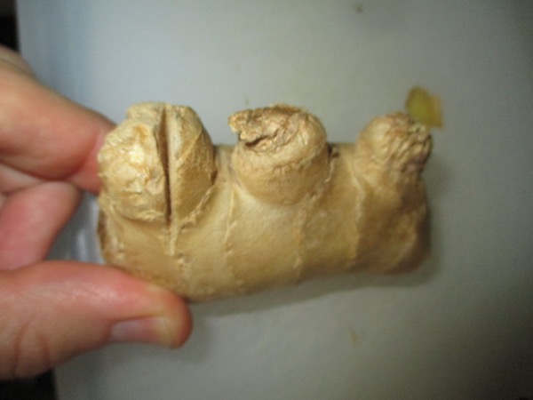 ginger