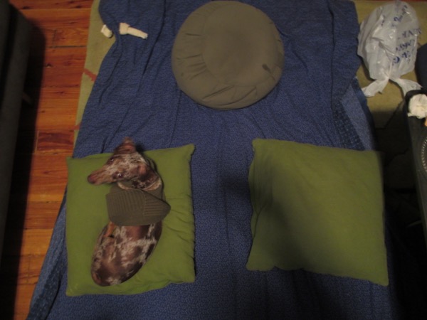 pillow
