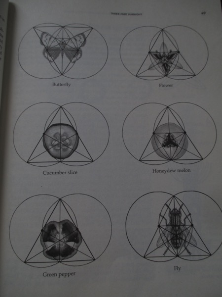 sacred geometry