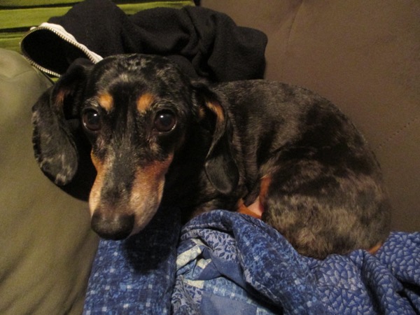 edie