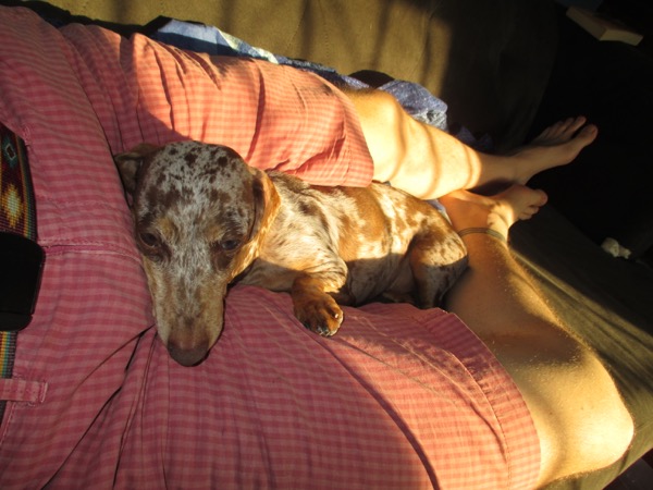 sleepy