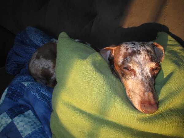 sleepy