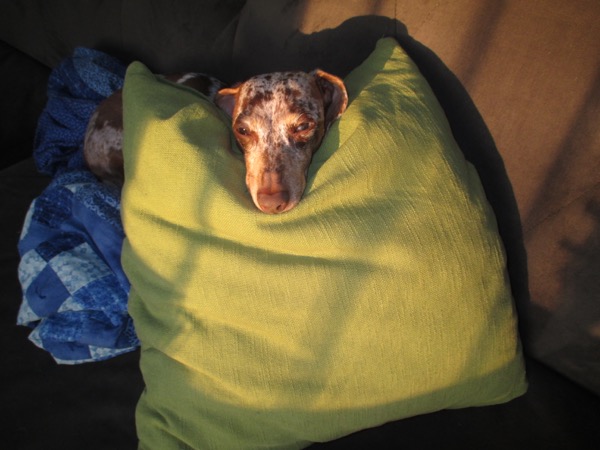 sleepy