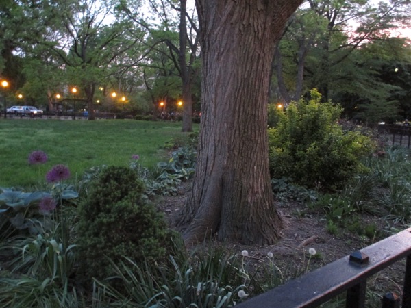 tompkins