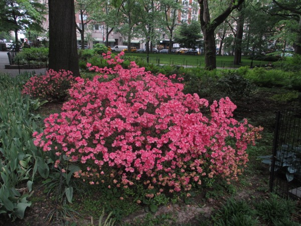 tompkins