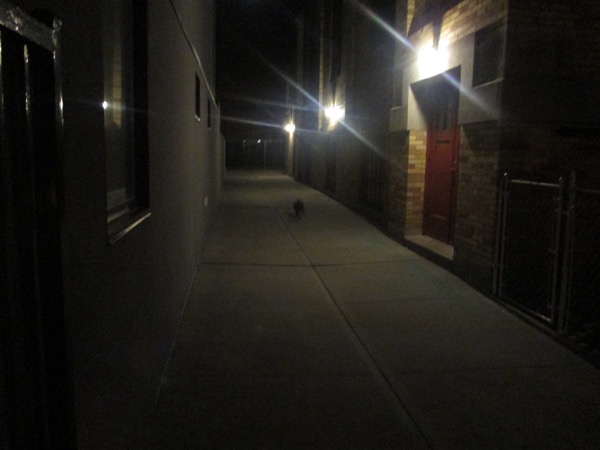 walking