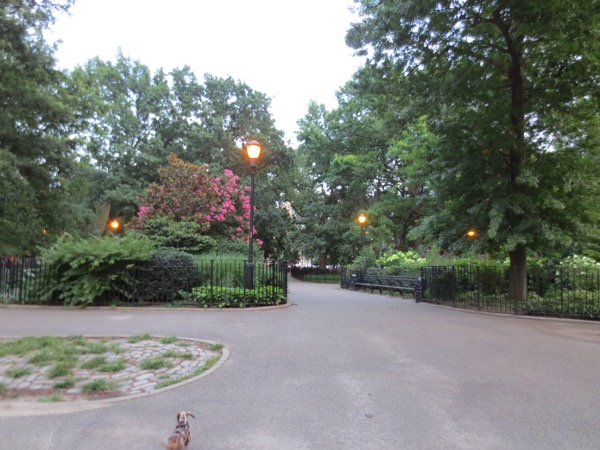 tompkins