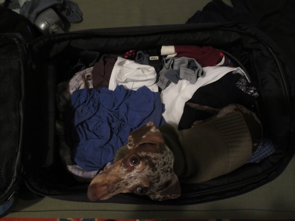 suitcase