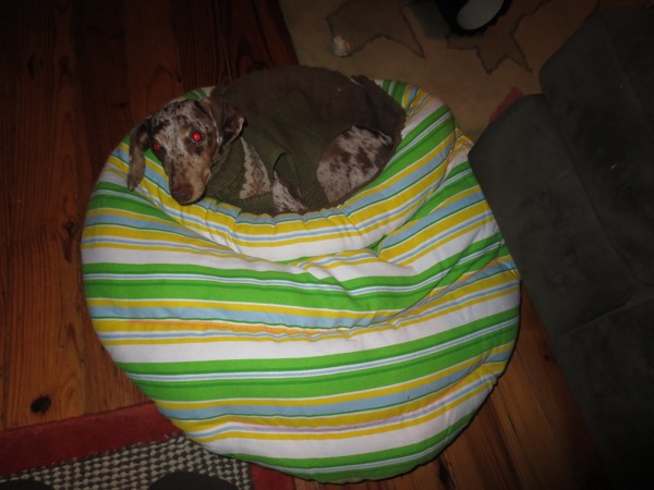 maddy