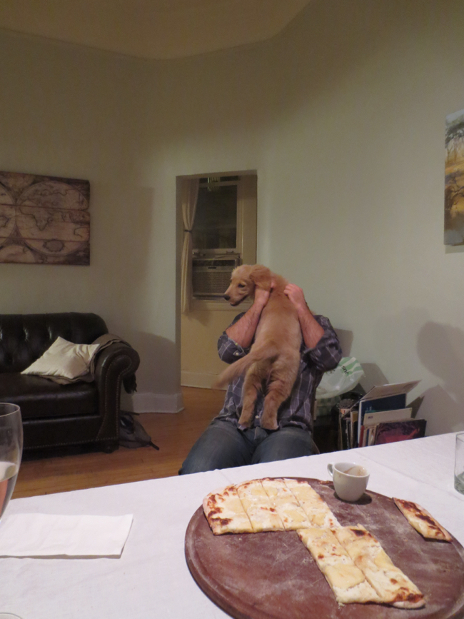 puppy