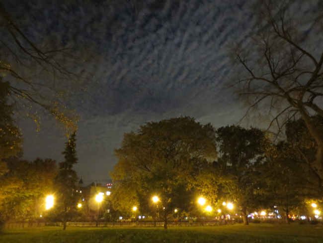 tompkins