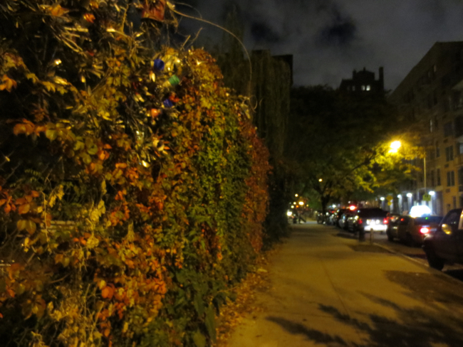 walking