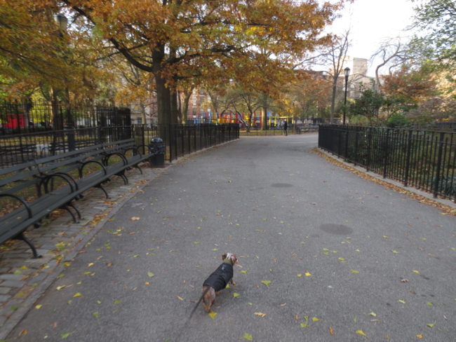 tompkins