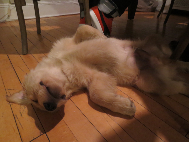 asleep