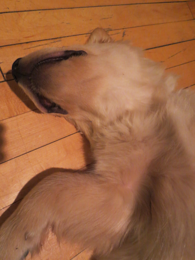 asleep